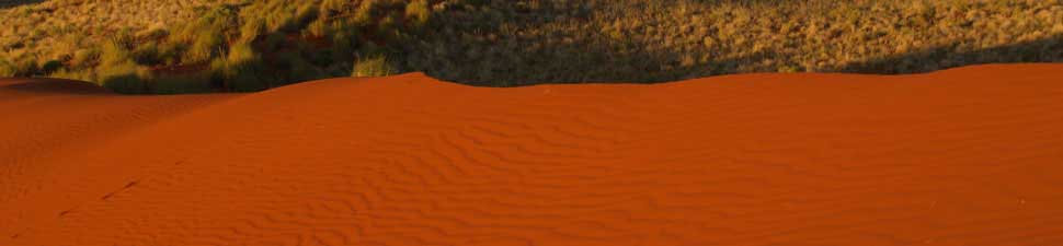 Deserto del Kalahari