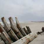 Skeleton Coast