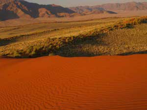 Deserto Kalahari