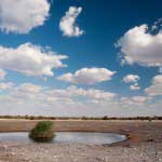 etosha laghetto